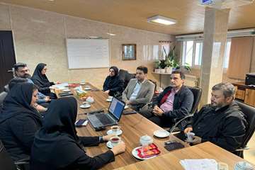 دمو نرم افزار 